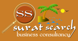 Saurabh Web Solution